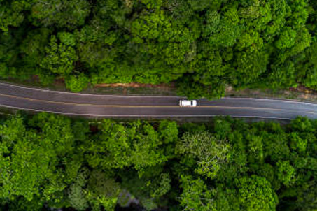 car driving on a road surrounded by green trees